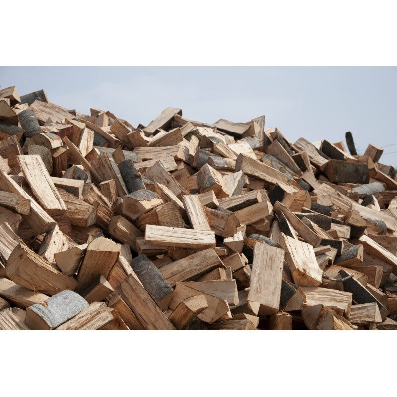 Frisch geschnittenes Brennholz – Grünes Holz (Ster) – Nicht kammergetrocknet